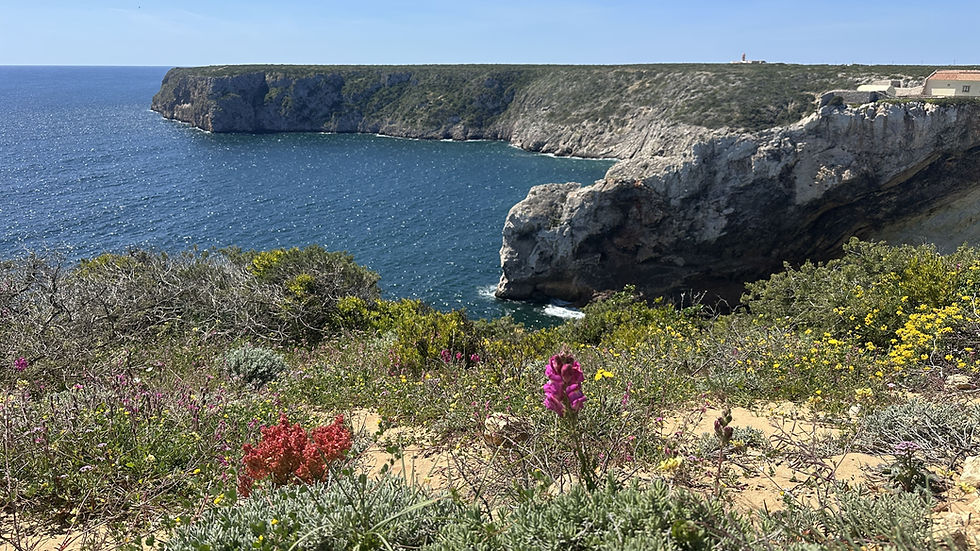 Küste in Sagres Portugal