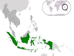 #6. Long Term Survival Strategy for Indonesia