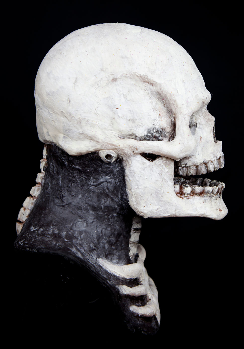 Thumbnail: Skeleton