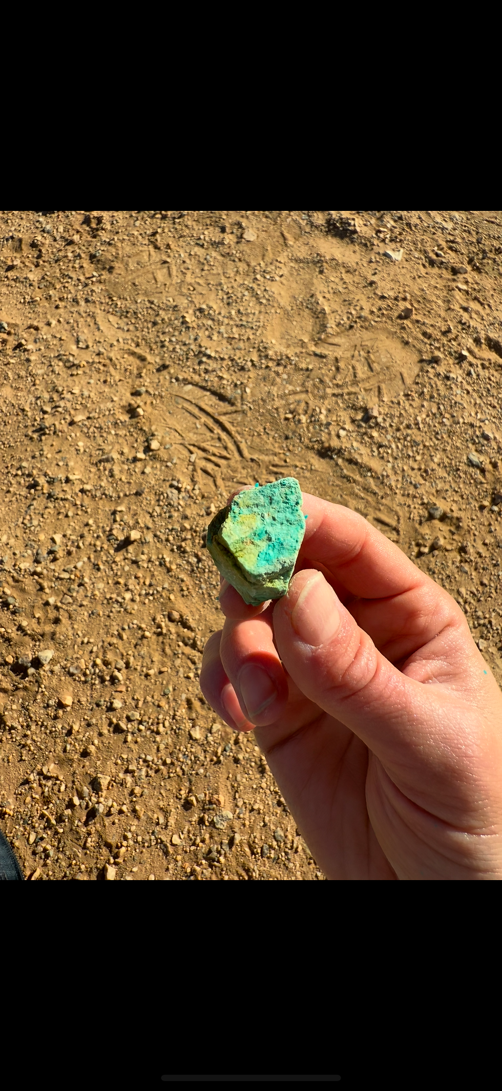 Rockhounding Julia Simpson