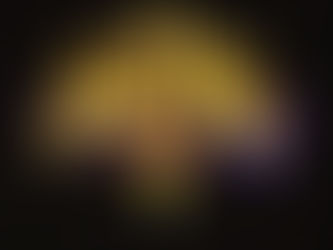 Fifty (2023) (3-CD compilation album)