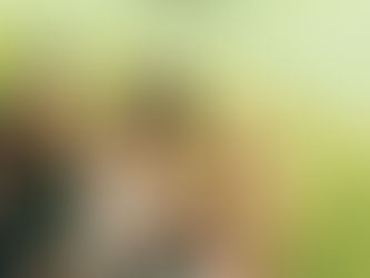 Room to Breathe (2005)