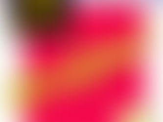 Live at Six Flags (1986)