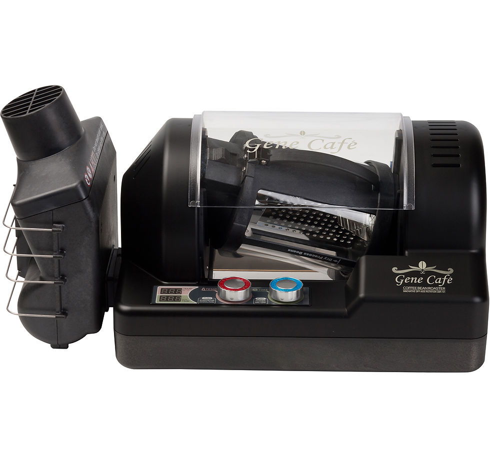 Gene Cafe Roaster CBR-101 Black