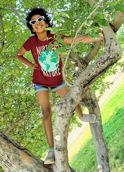 Aahu on a Tree.jpg