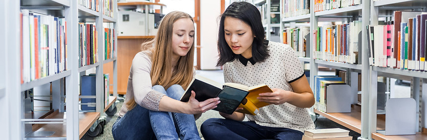 Girls in the Library