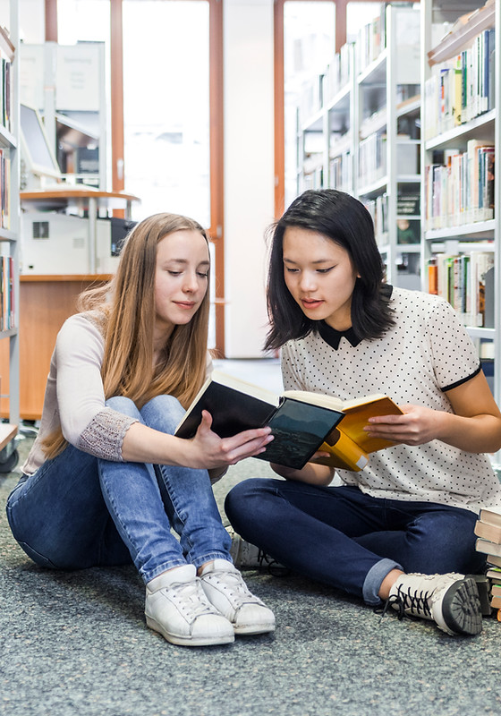 Girls in the Library