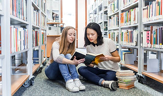 Girls in the Library