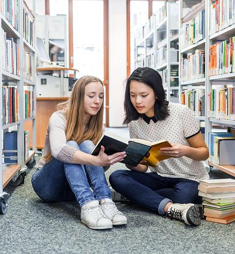 Girls in the Library