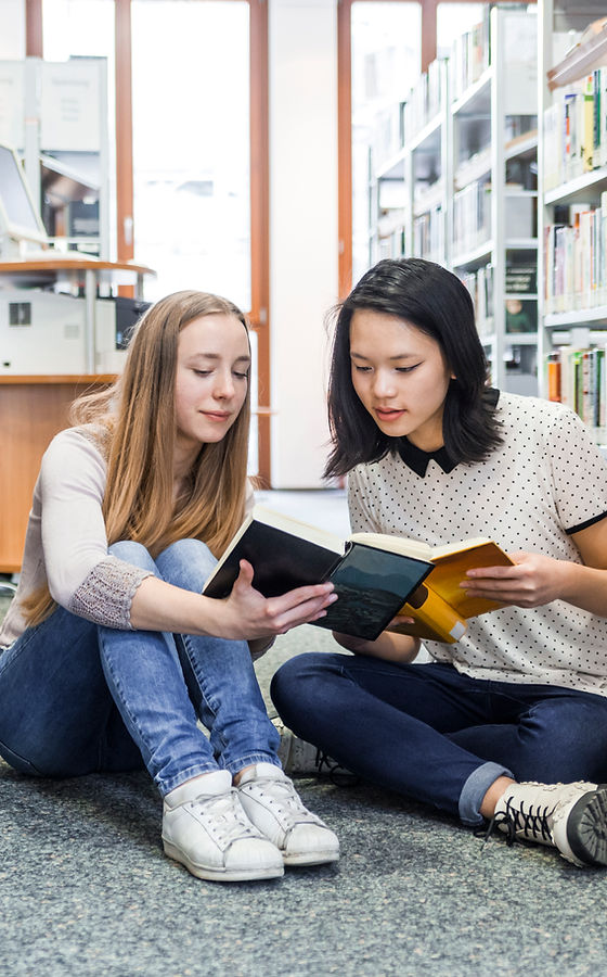Girls in the Library