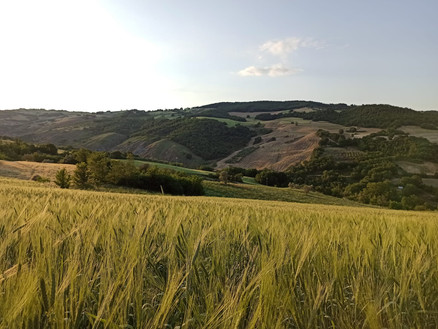 Campo di Farro.jpeg