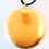 Miniature : pendentif fruit de vie