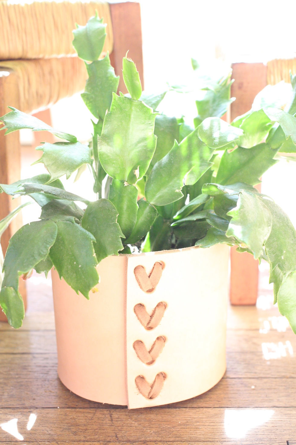 Thumbnail: Right Tribe Leather Plant Coozy