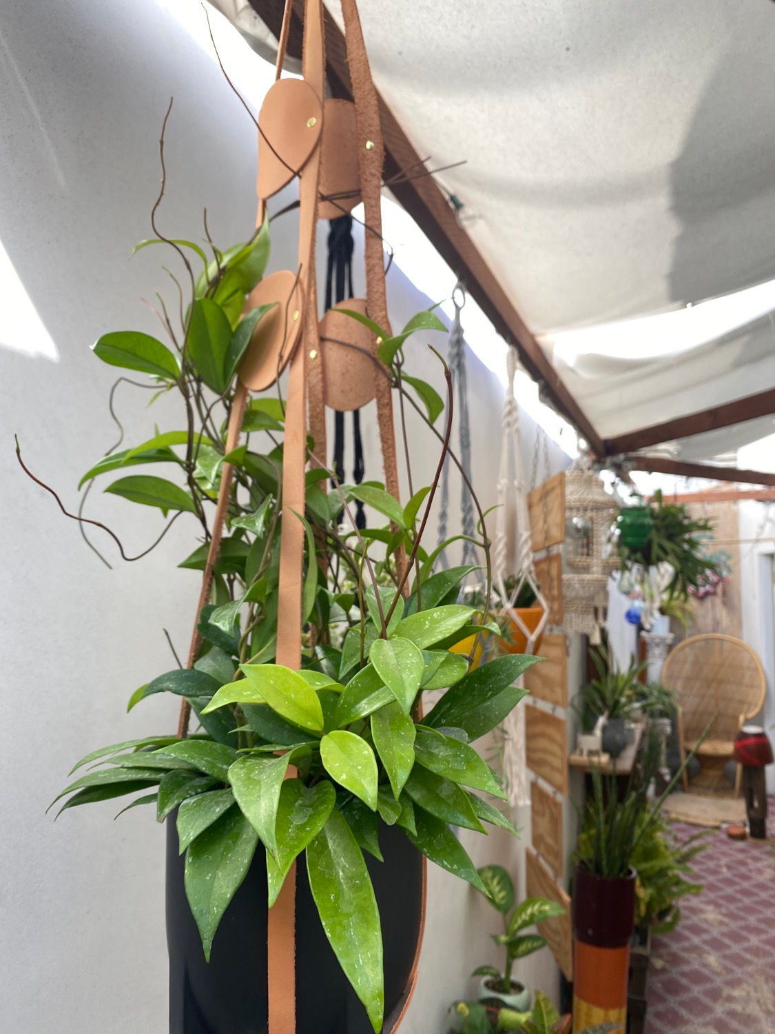 Large Circle Leather Planter 