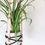 Thumbnail: Large Plant Hanger #2