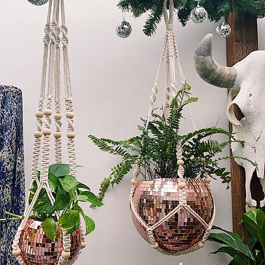 disco planters | righttribe