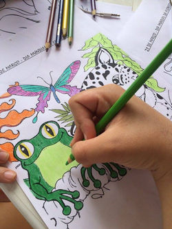 12243900_910551475697951_888998773_n