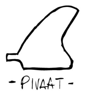 updated-FIN-SHAPES-&-NAMES_edited.jpg