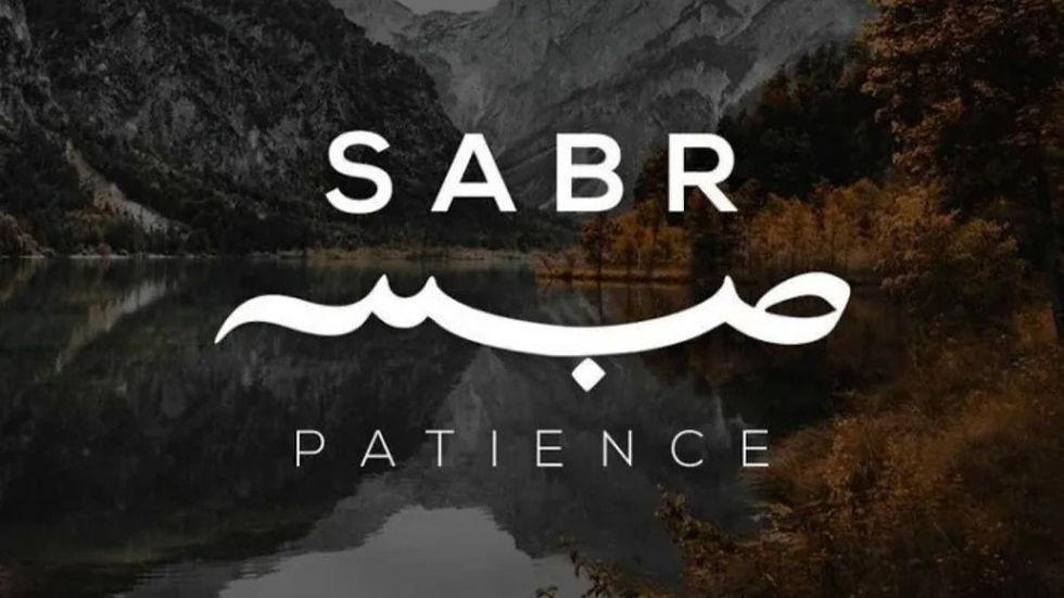 La lingua araba e la sua bellezza