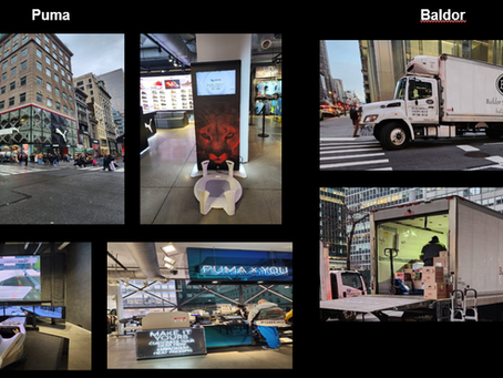 Supply Chain: A Estratégia Inteligente da Puma e Baldor