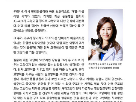 길고양이 구조에 성공했다면? '건강검진'을 해야 할 때!
