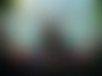 Assassin's Creed IV: Black Flag Türkçe Yama Üyelik Sistemine Eklendi!