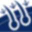 hair-transplant (2).png