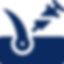 hair-transplant (1).png