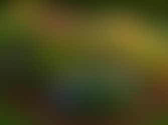 Choisir les bons massif fleuri selon le climat du Grésivaudan