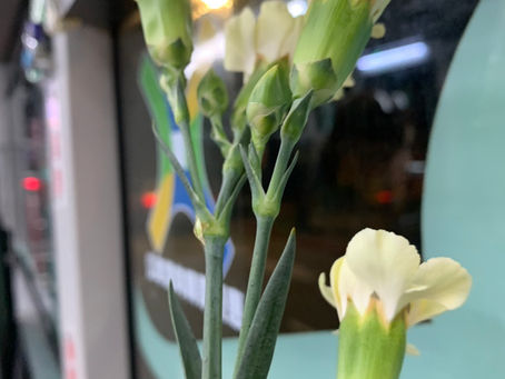 我是不是一個好媽媽?