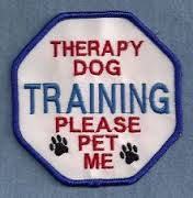 therapy%20dog.jpeg