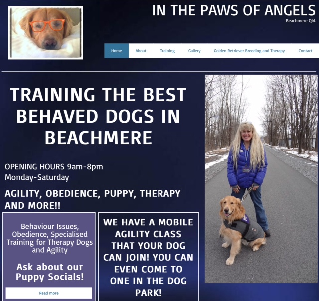 Dog Training, Agility Beachmere, Sunshine Coast. Golden Retrievers