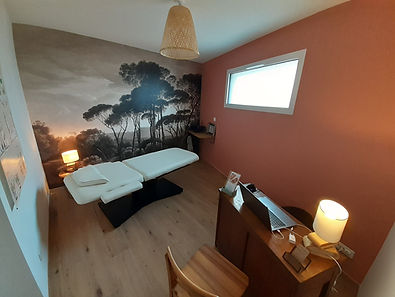 Un cabinet de réflexologie tout neuf au Plessis-Grammoire à 5 minutes à l'est d'Angers. Je vous accueille dans un cadre chaleureux propice à la détente et la relaxation