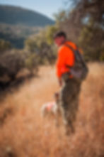 Mearns Quail Hunt Luna Rita 1175