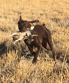 IMG_3036 (Edited).JPG