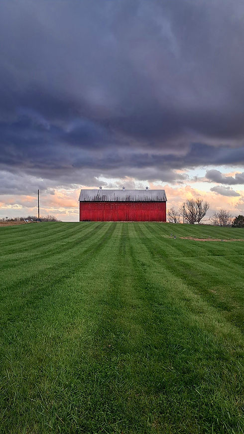 tobbacco barn drama.jpg