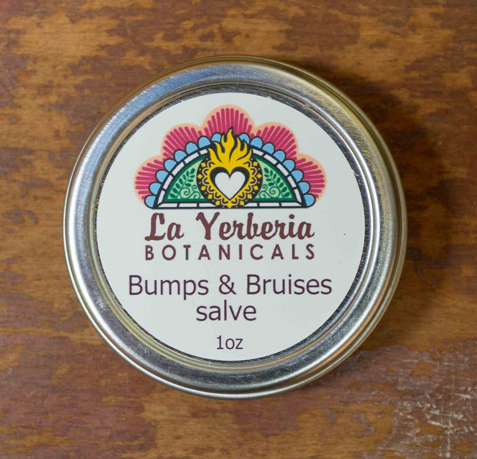 BUMPS & BRUISES SALVE
