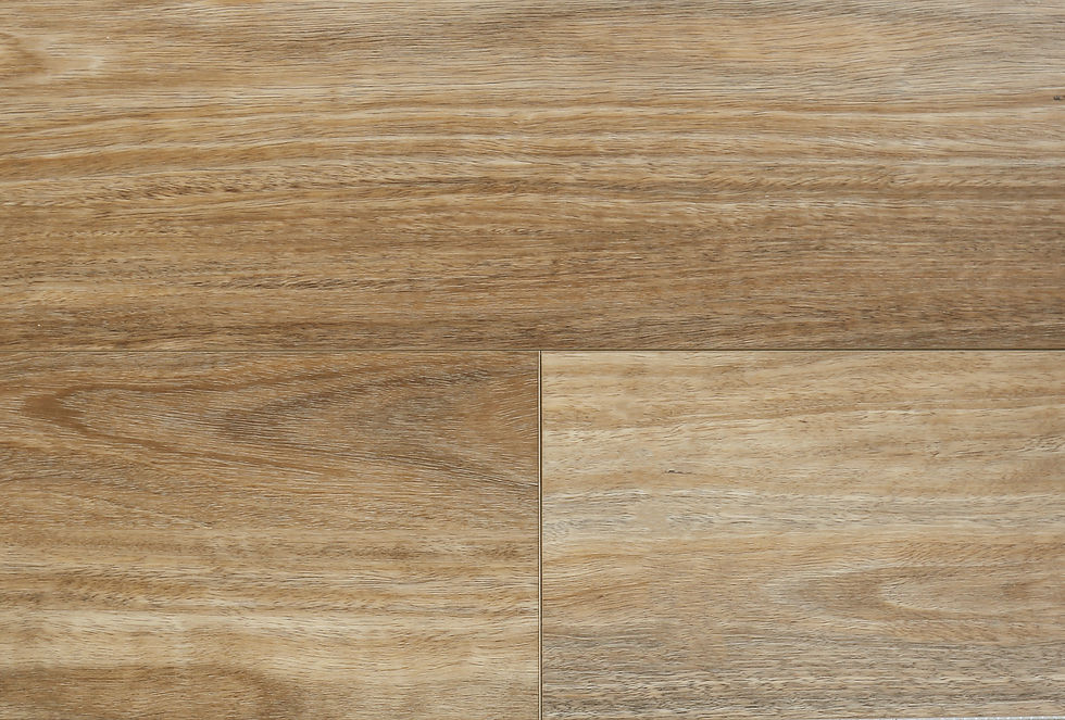 NSW Spotted Gum