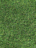 Augusta Pro