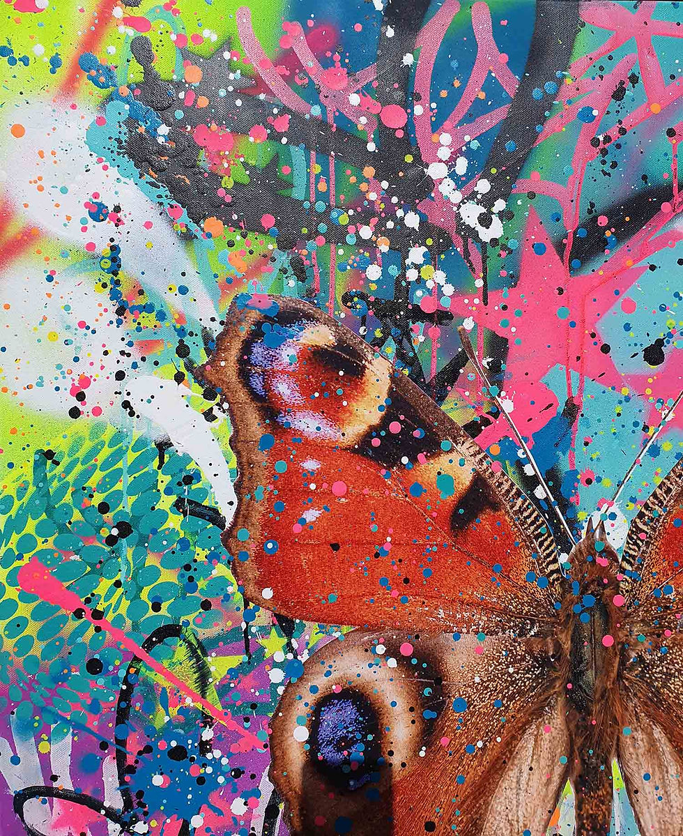 Miniature : SPARKLE - Paon du Jour - 100x100cm