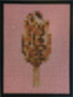 Oliver NEY - Magnum Almond - 111x82,5cm