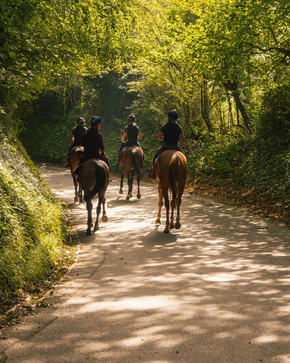 Adult Residential Riding Camp