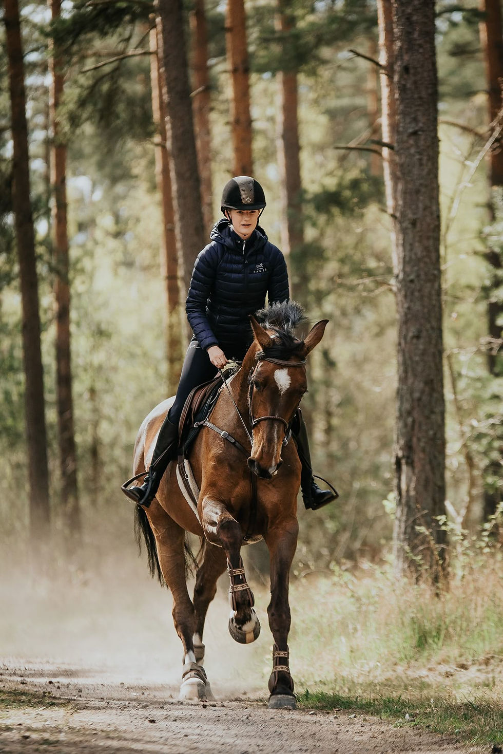 Wilton Pony Club Show