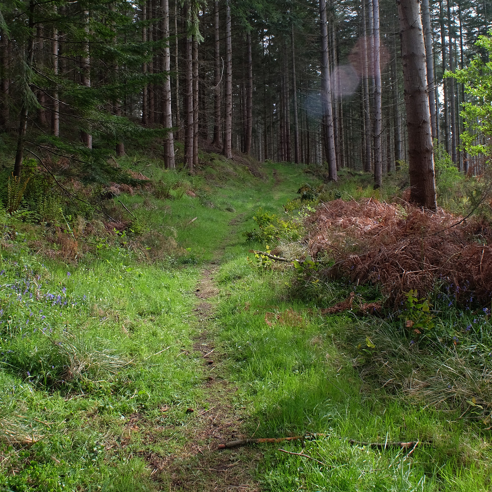 DSCF8312.JPG