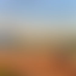 The double life of college athletes