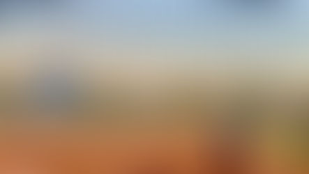 The double life of college athletes