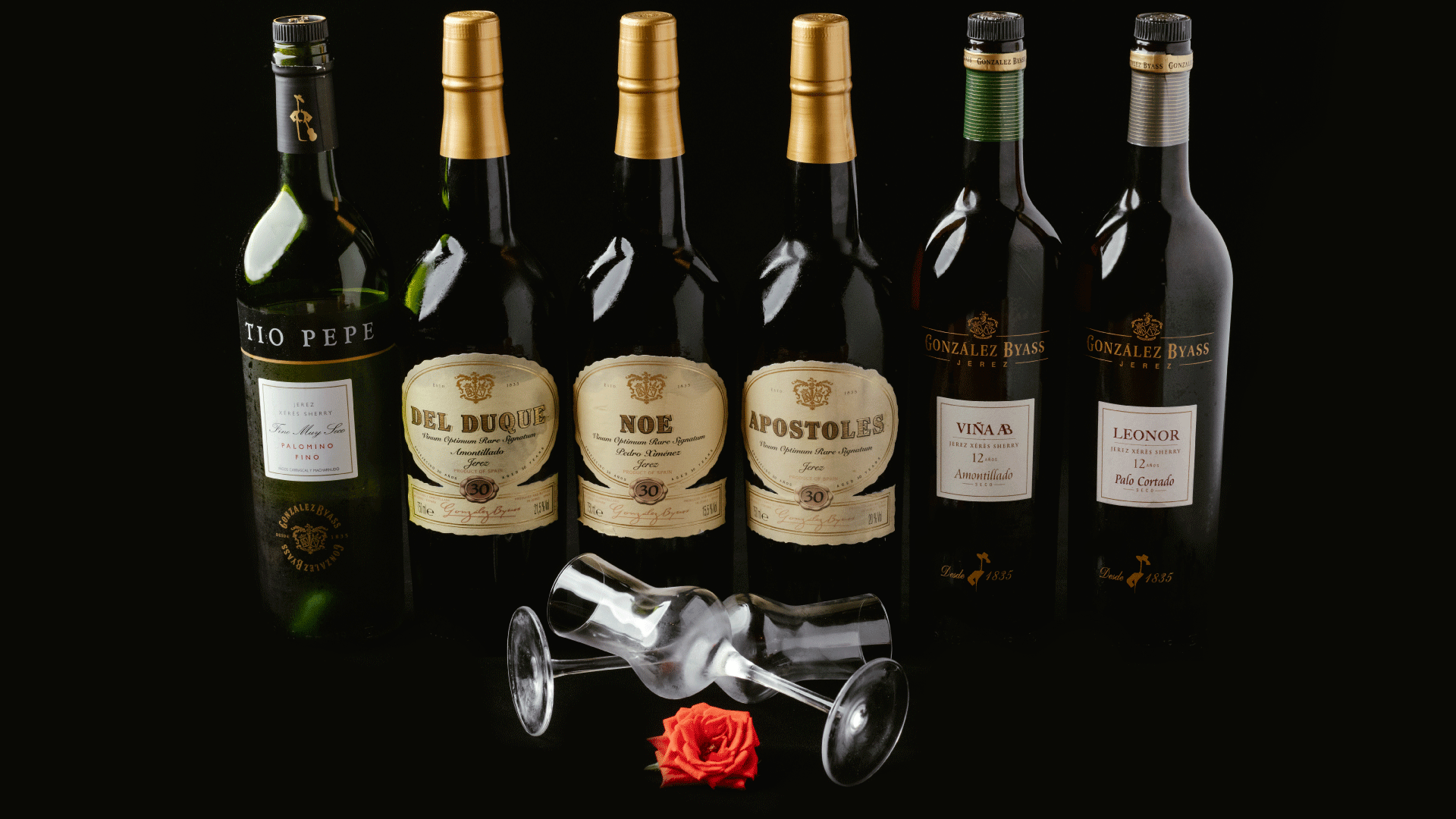 Lola-Signature-Sherry-Selections-web.gif