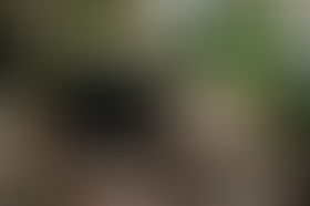 What Home-Office Expenses are deductible for your business?