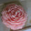 Thumbnail: Blooming Love Peony Candle