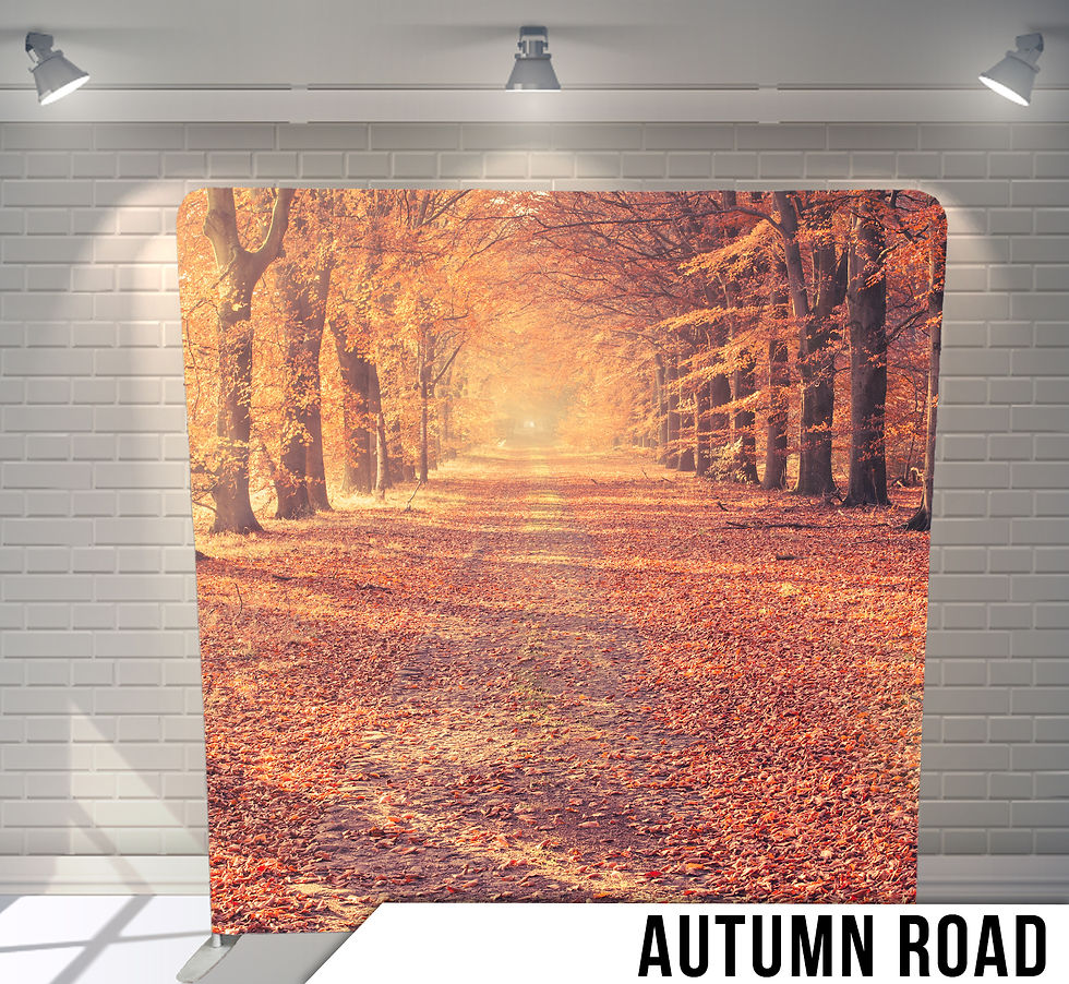 Autumn Road